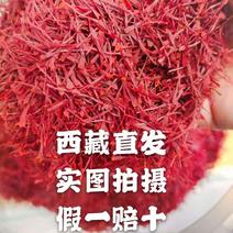 西红花便宜正品西藏产按克买论根吃高档营养品