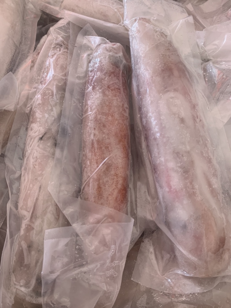 手吊东山鱿鱼管活冻新鲜看的见刺身清蒸烧烤50斤起发