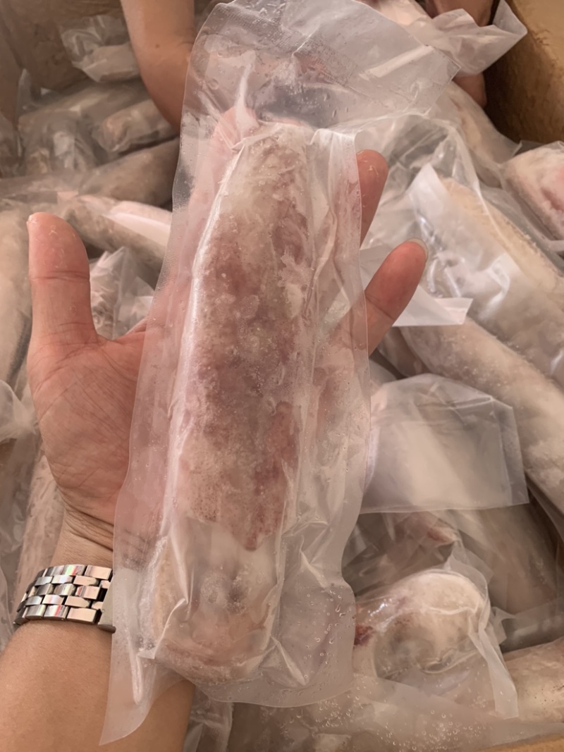 手吊东山鱿鱼管活冻新鲜看的见刺身清蒸烧烤50斤起发
