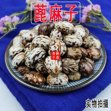 云南野生中药材蓖麻子新鲜饱满蓖麻籽蓖麻仁新货包邮