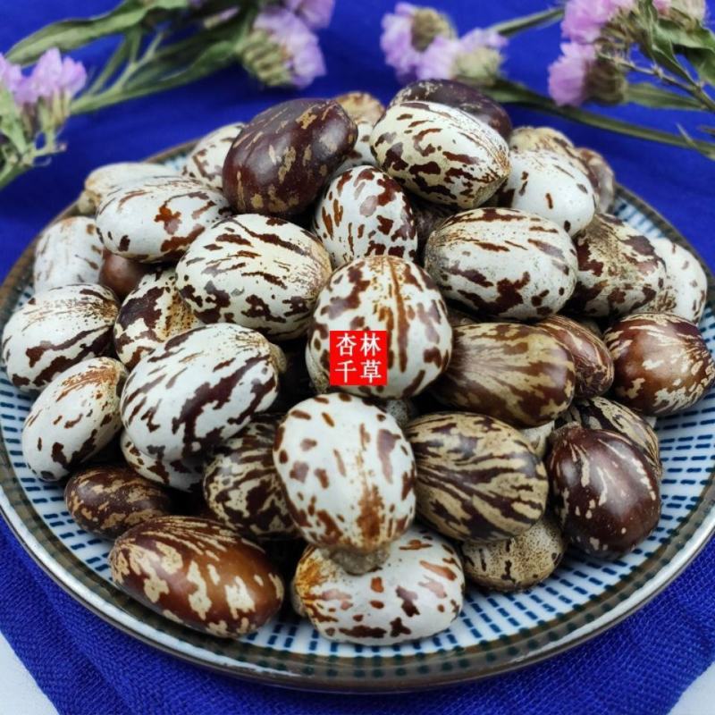 云南野生中药材蓖麻子新鲜饱满蓖麻籽蓖麻仁新货包邮