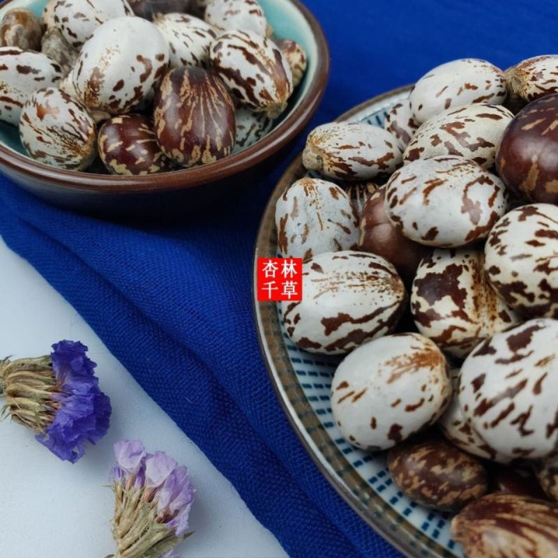 云南野生中药材蓖麻子新鲜饱满蓖麻籽蓖麻仁新货包邮