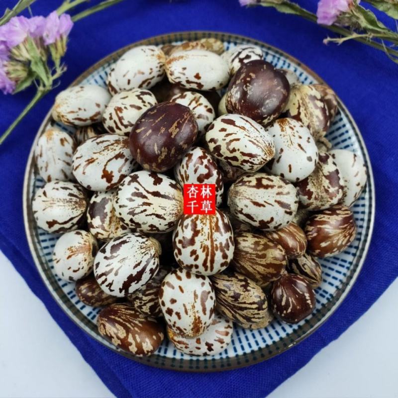 云南野生中药材蓖麻子新鲜饱满蓖麻籽蓖麻仁新货包邮