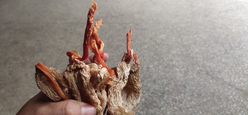 天麻片，天麻饮片，天麻切片，干天麻片产地直销