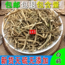 云南野生中药材白前草白前水杨柳鹅白前石蓝根包邮