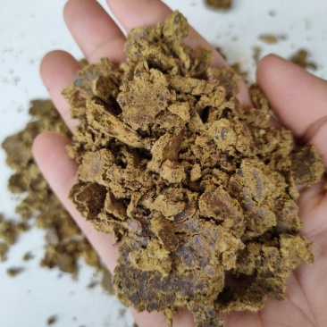 厂家直销优质棉饼牛羊猪好饲料，保质保量量大从优