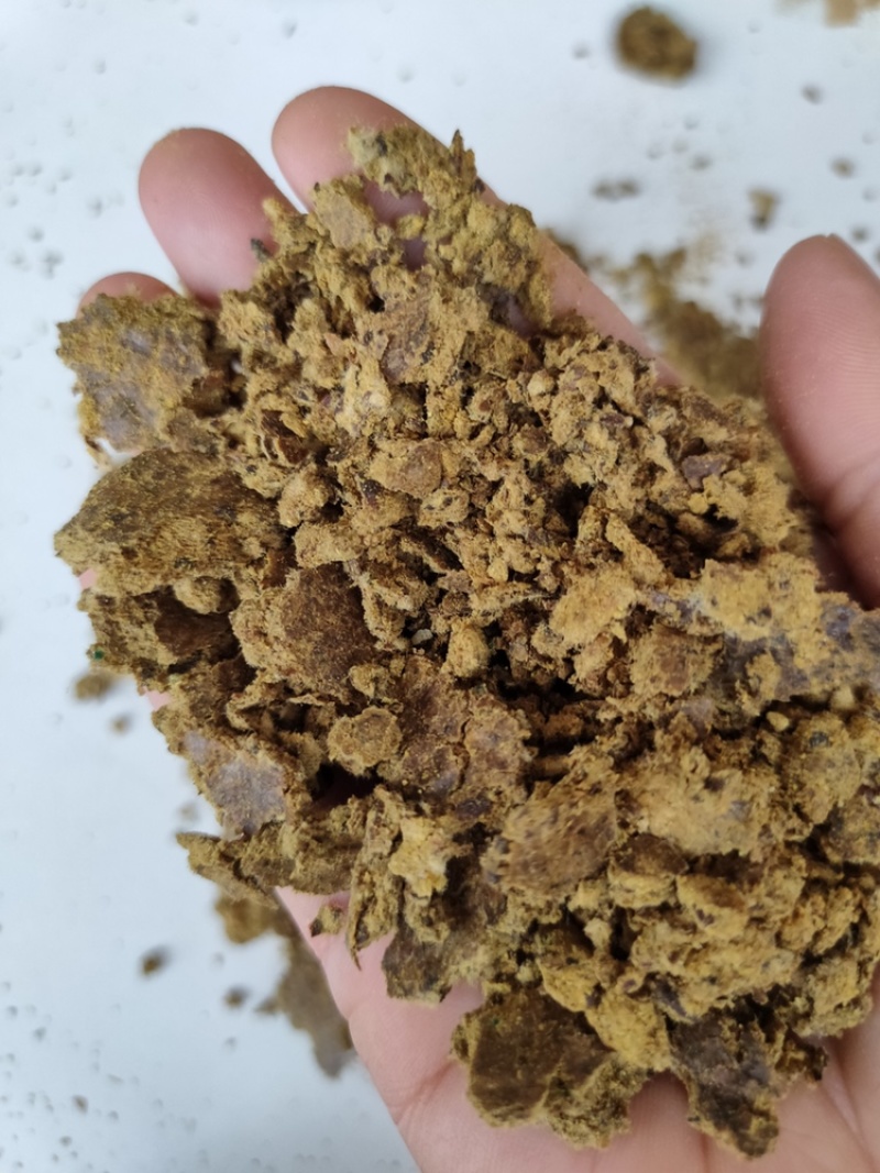 厂家直销棉饼牛羊猪好饲料质量保证欢迎订购