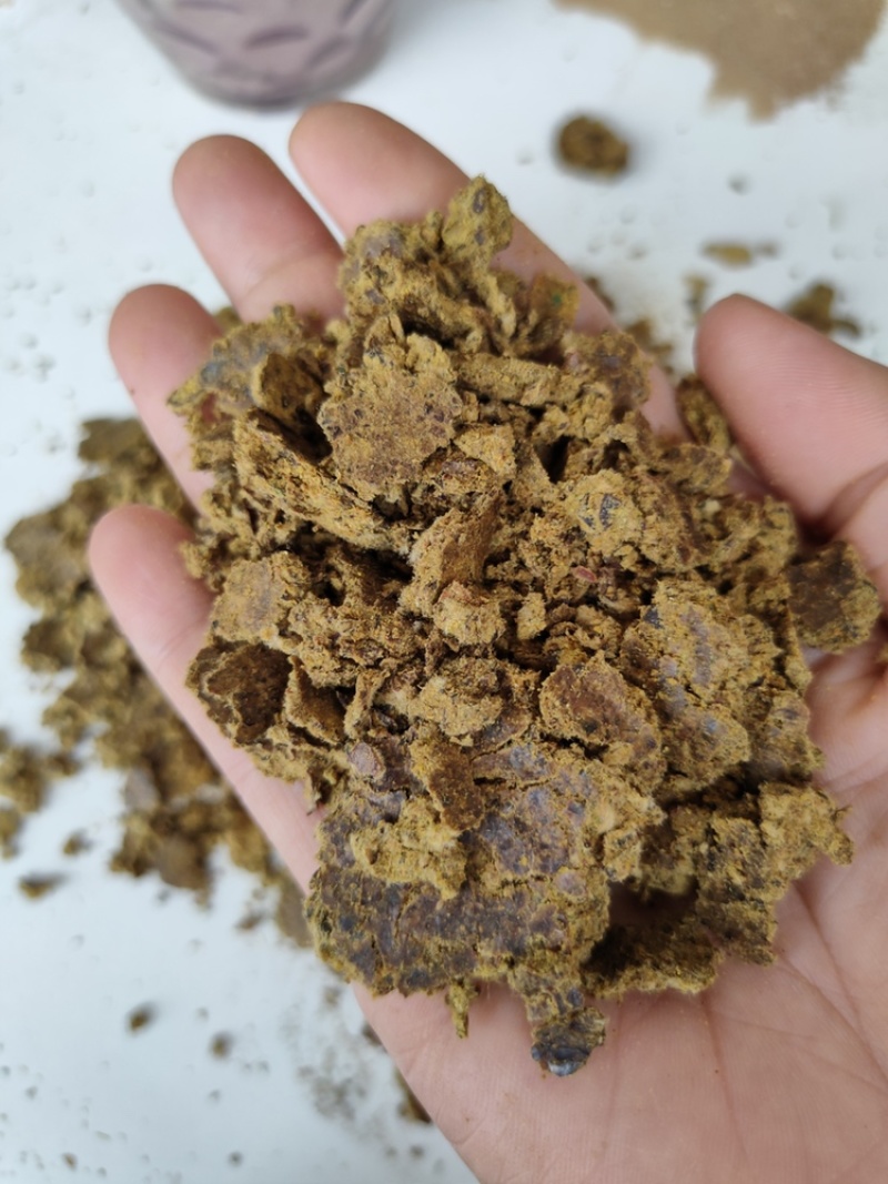 厂家直销棉饼牛羊猪好饲料质量保证欢迎订购
