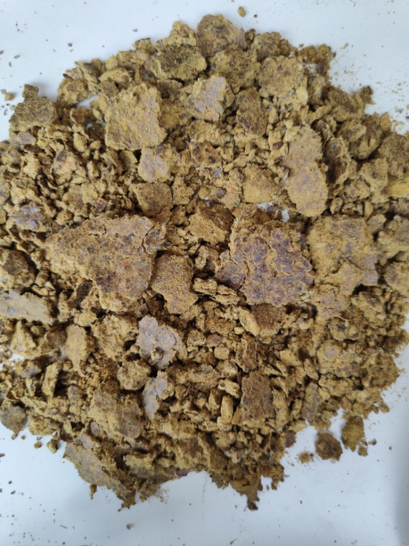 厂家直销棉饼牛羊猪好饲料质量保证欢迎订购