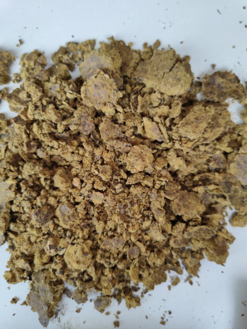 厂家直销棉饼牛羊猪好饲料质量保证欢迎订购