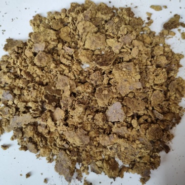 厂家直销棉饼牛羊猪好饲料质量保证欢迎订购