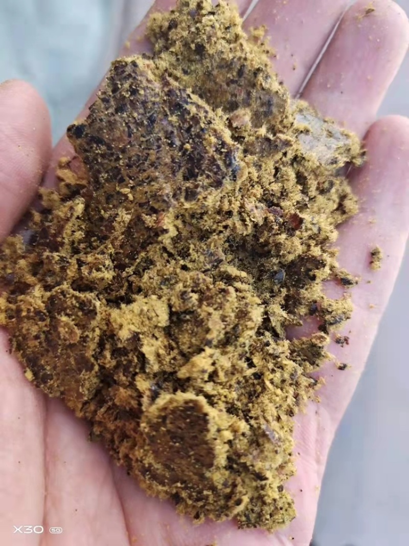 厂家直销棉饼牛羊猪好饲料质量保证欢迎订购