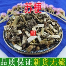 云南中药材苏梗紫苏梗紫苏茎紫苏杆包邮