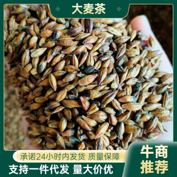 大麦茶口感浓郁饭店供应大量供应一件代发