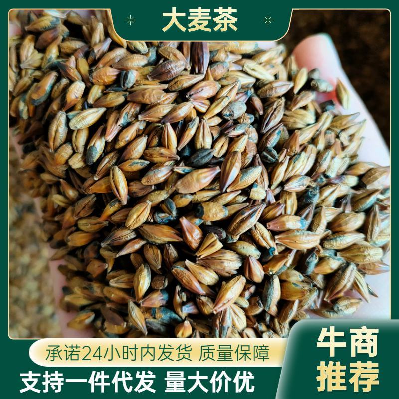 大麦茶口感浓郁饭店供应大量供应一件代发