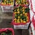 大芬蜜橘，口感非常不错，无任何中间商，支持发货