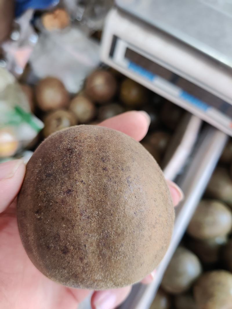 罗汉果各种规格罗汉果十五个起批不包邮碎了包退