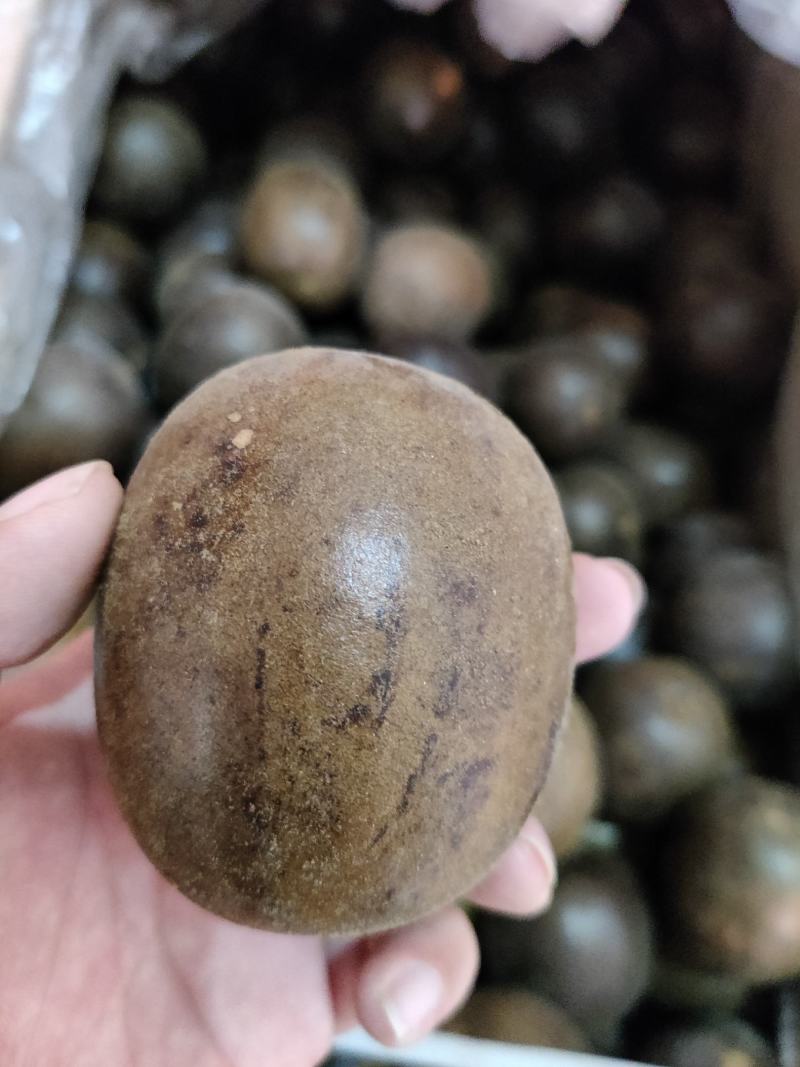罗汉果各种规格罗汉果十五个起批不包邮碎了包退