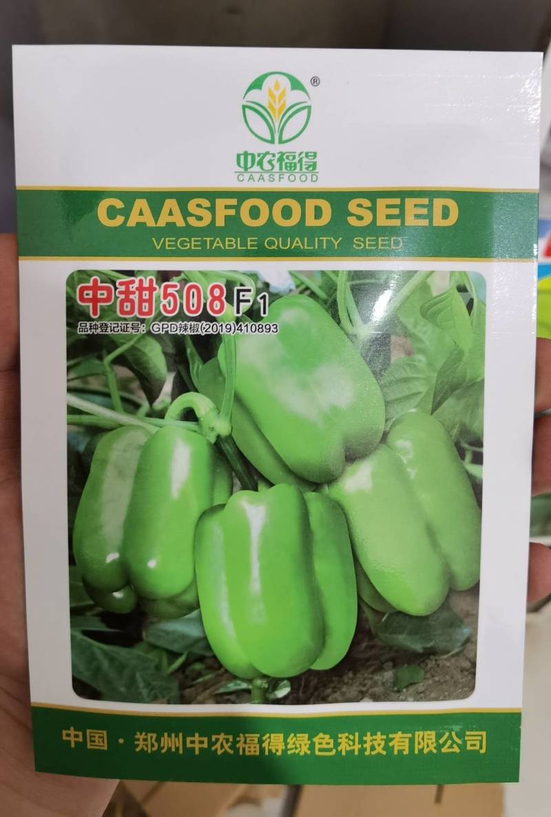 高品质！中甜508甜椒辣椒种子，早熟大果抗病毒耐运输