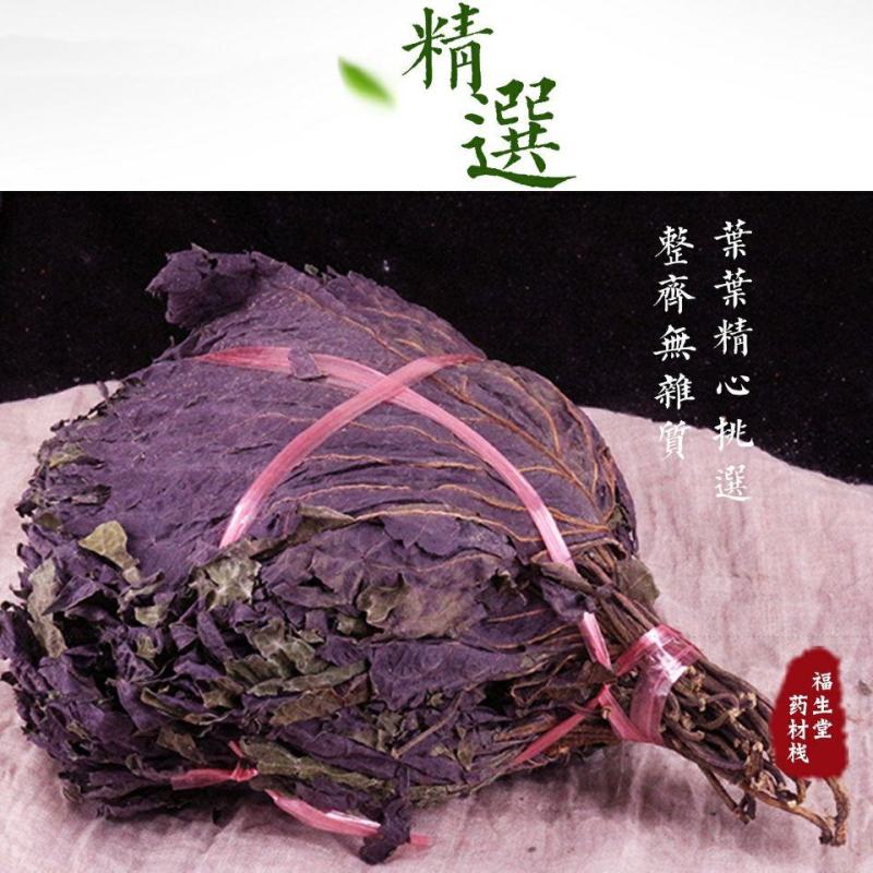 新鲜正宗野生紫苏叶干天然苏子叶干泡茶烧鱼虾蟹去腥食用香料