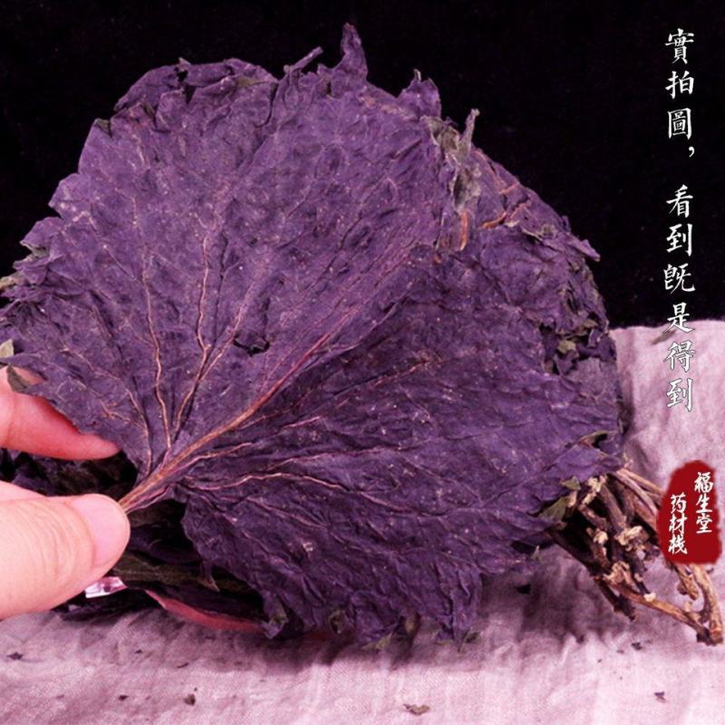 新鲜正宗野生紫苏叶干天然苏子叶干泡茶烧鱼虾蟹去腥食用香料