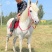 马活体马骑乘大马