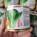 耐寒青梗菜种子耐抽苔耐低温束腰油绿越冬上海青菜种子