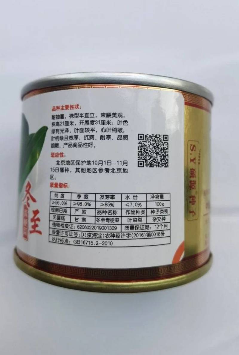 耐寒青梗菜种子耐抽苔耐低温束腰油绿越冬上海青菜种子