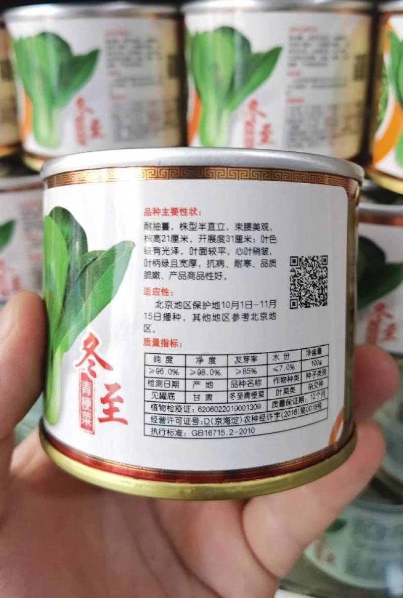 耐寒青梗菜种子耐抽苔耐低温束腰油绿越冬上海青菜种子