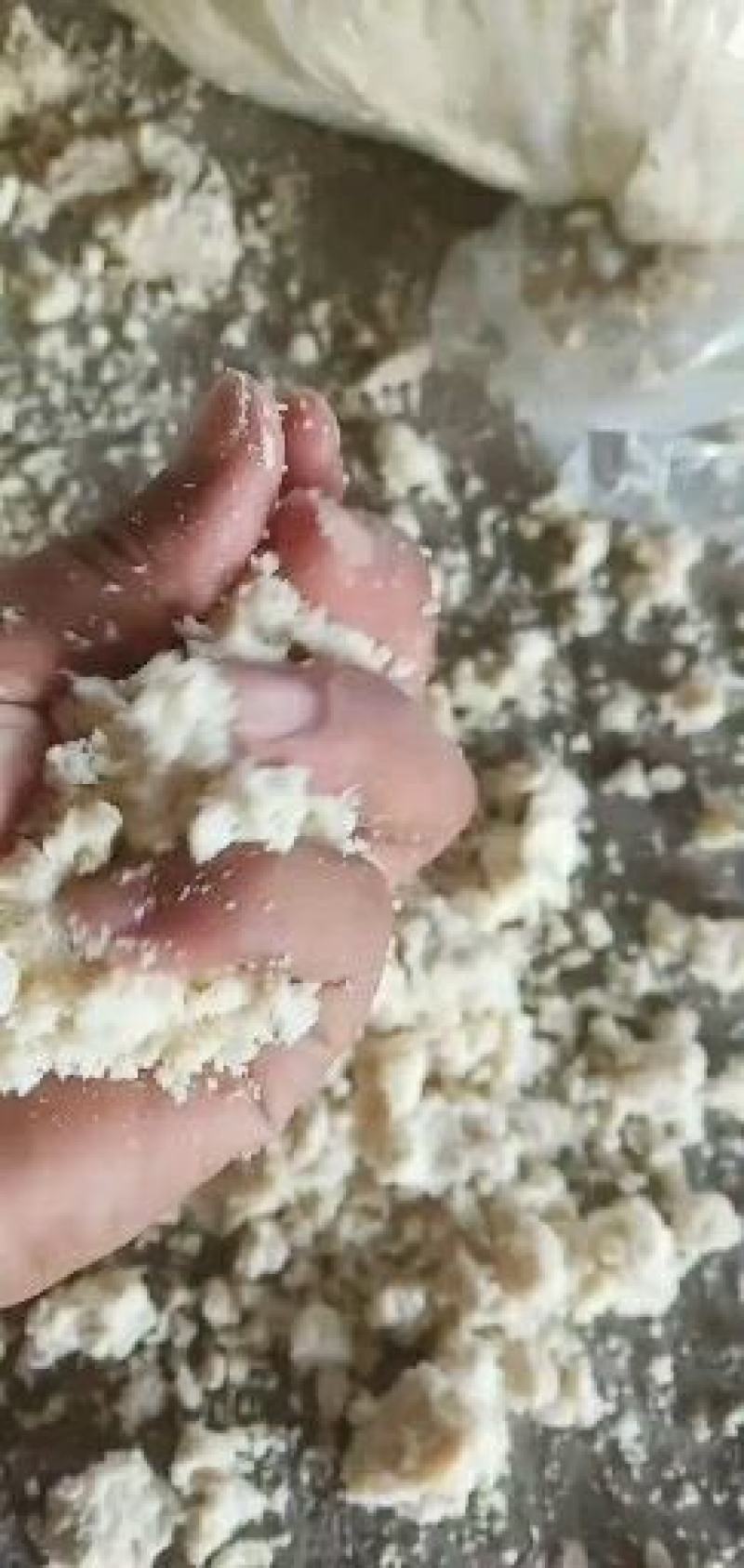 发酵豆腐渣
