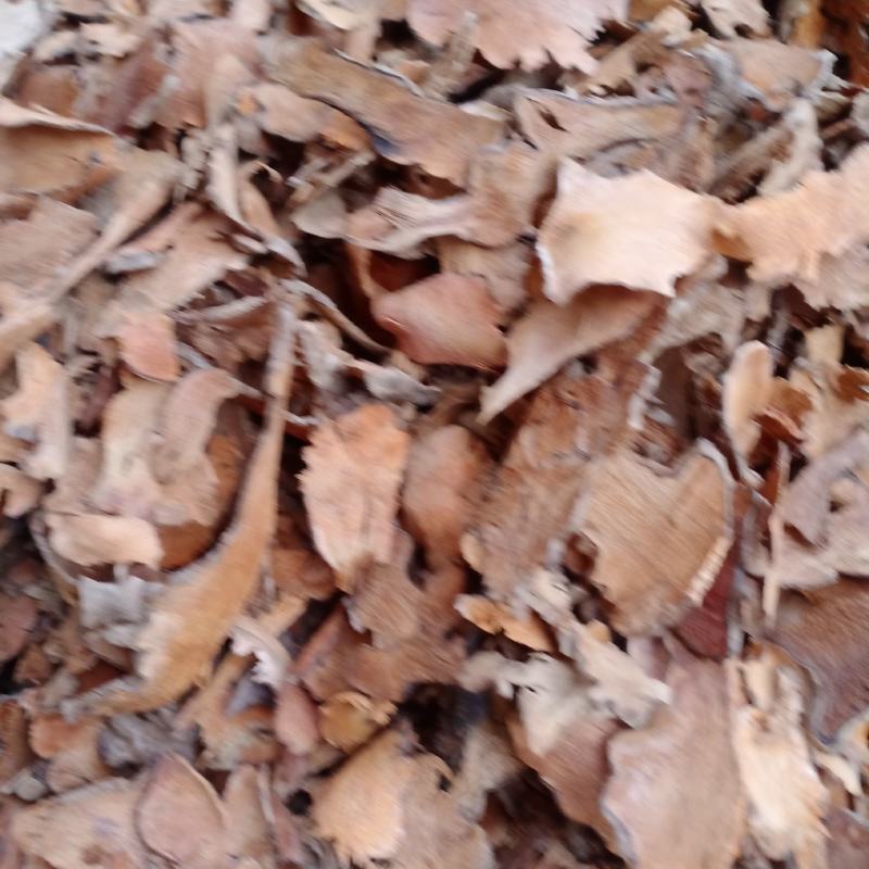 红土茯苓全野生货，白土茯苓大货批发大货欢迎订购