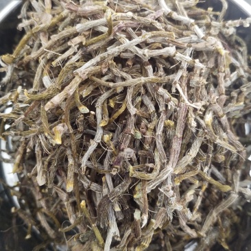 铁皮石斛干条，粉