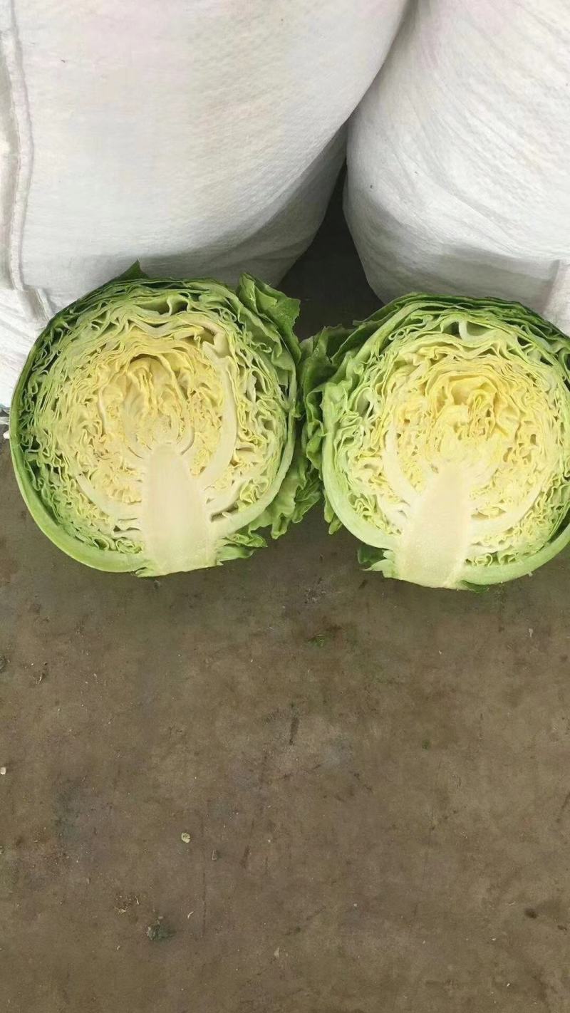 基地直发精品（甘蓝）货好市场电商超市加工厂质量好价格便宜