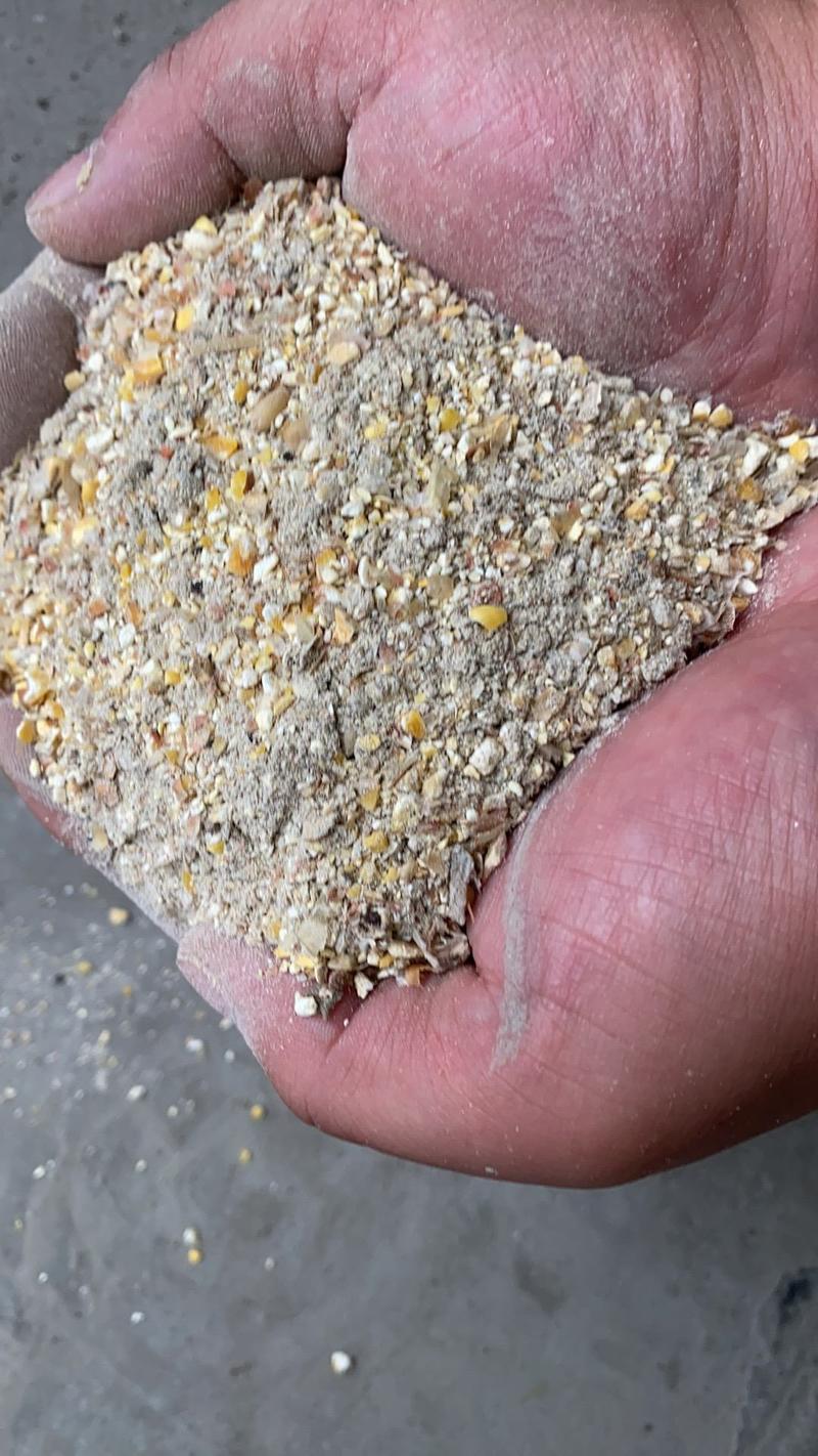 淀粉厂碎玉米，储备库碎玉米筛漏，