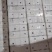 平菇鲜货产地直销价格实惠