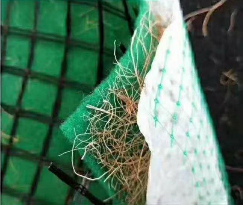 生态袋草籽土工布袋护坡草籽袋厂家生态袋价格