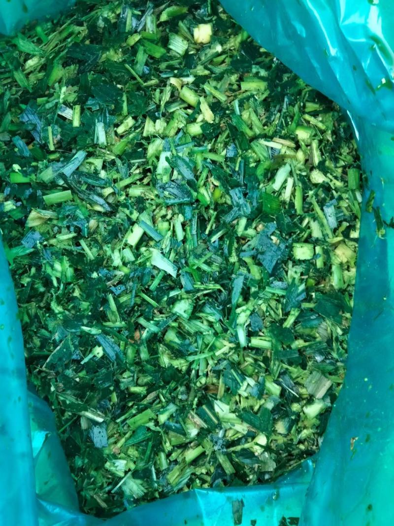 玉米杆青储