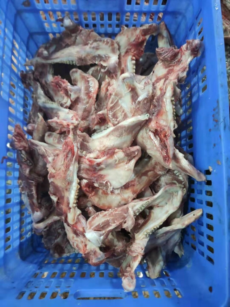 猪头骨猪杂骨每天新鲜加工大量供应价格优惠