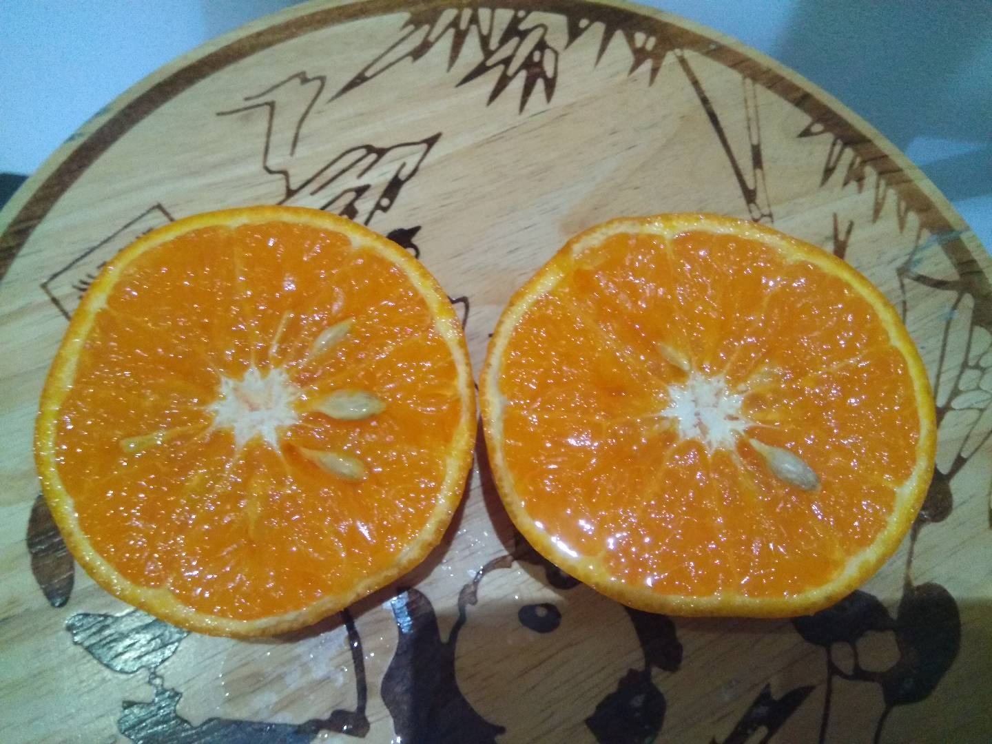 沃柑果实特写