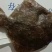 冷冻多宝鱼