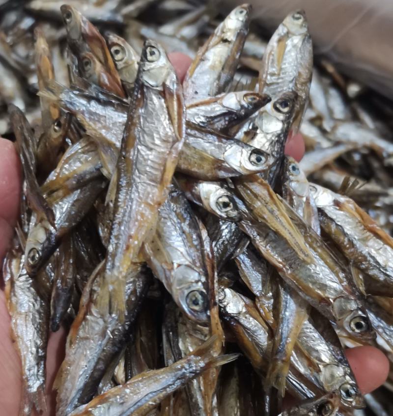 农家日晒淡水无盐鱼干，可做猫咪狗狗龟龟等粮食