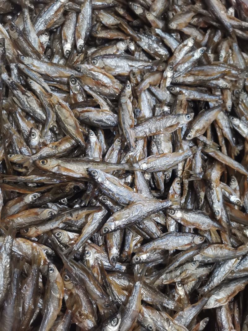 农家日晒淡水无盐鱼干，可做猫咪狗狗龟龟等粮食