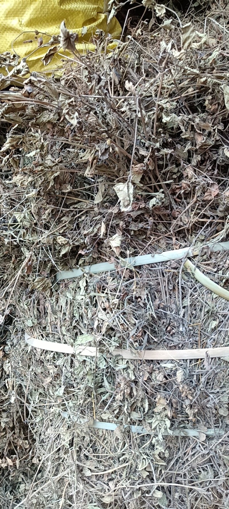 出售（中药材）苦玄参鲜干原草（4,5吨起售）