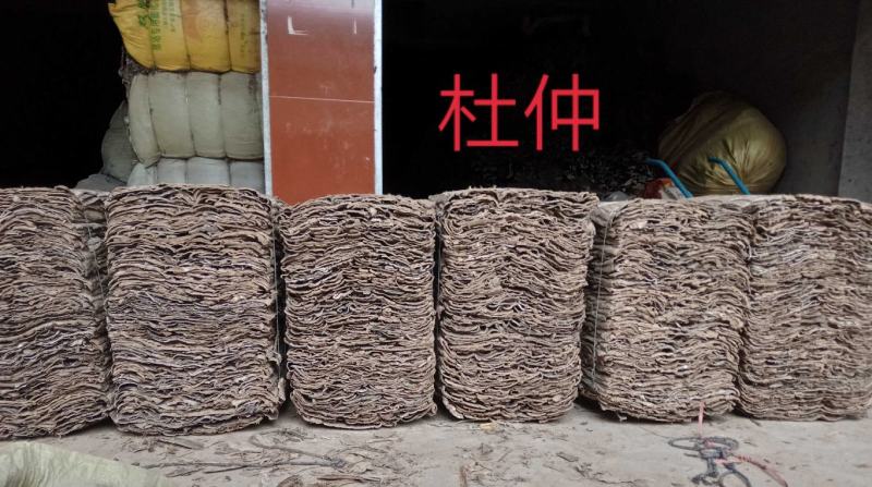 杜仲现货2吨
