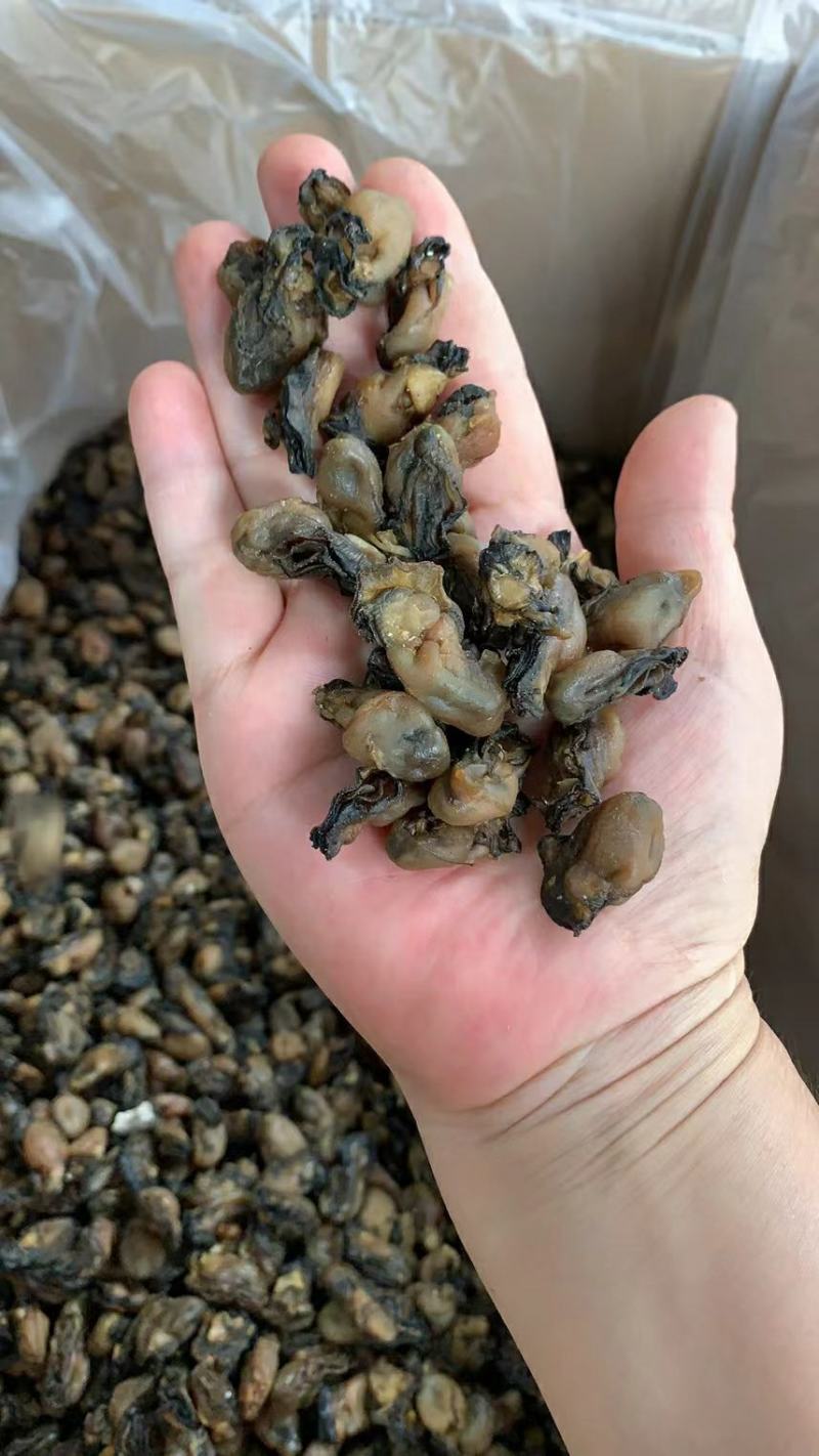 福建特产，特级海蛎干，小珠蛎，小小珠，干度好，不会腥
