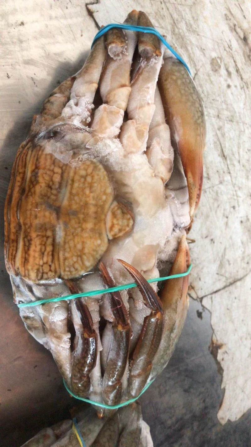 活冻膏蟹