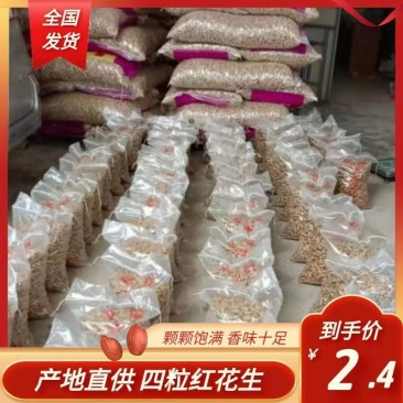 内蒙古通辽市花生，四粒红花生精选果，精品四粒红