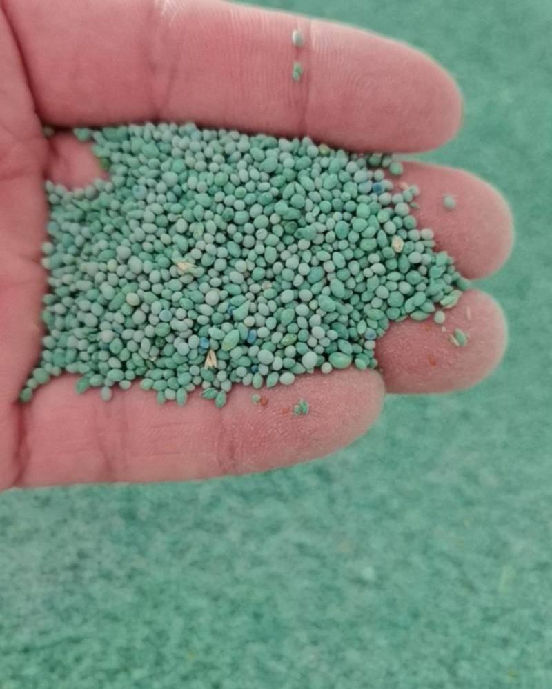 草坪种子草籽四季常青绿化狗牙根马尼拉护坡草皮草子种草籽