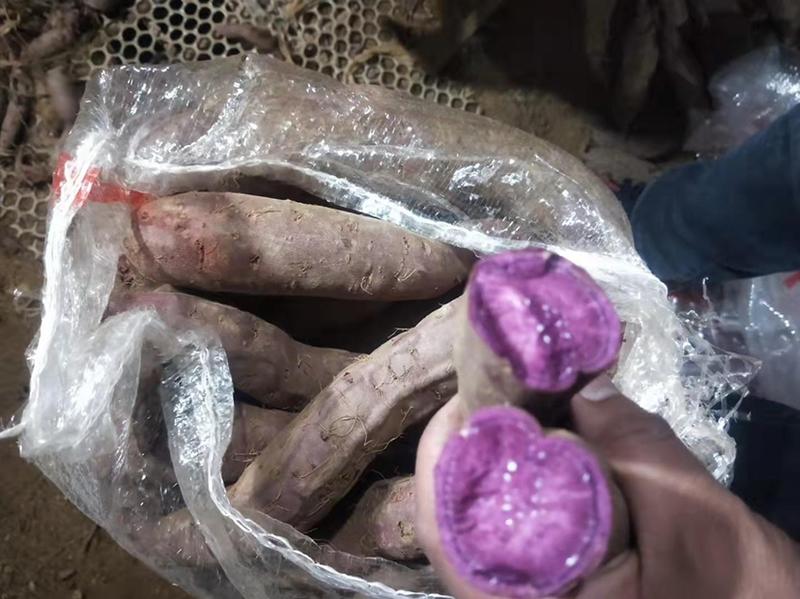 紫罗兰红薯电商团购超市批发一件代发全国发货产地