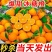 爆甜麻阳冰糖橙小甜橙孕妇新鲜水果一件代发